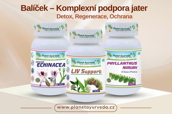 Komplexni podpora jater